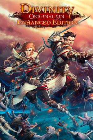Divinity: Original Sin Enhanced Edition Cover