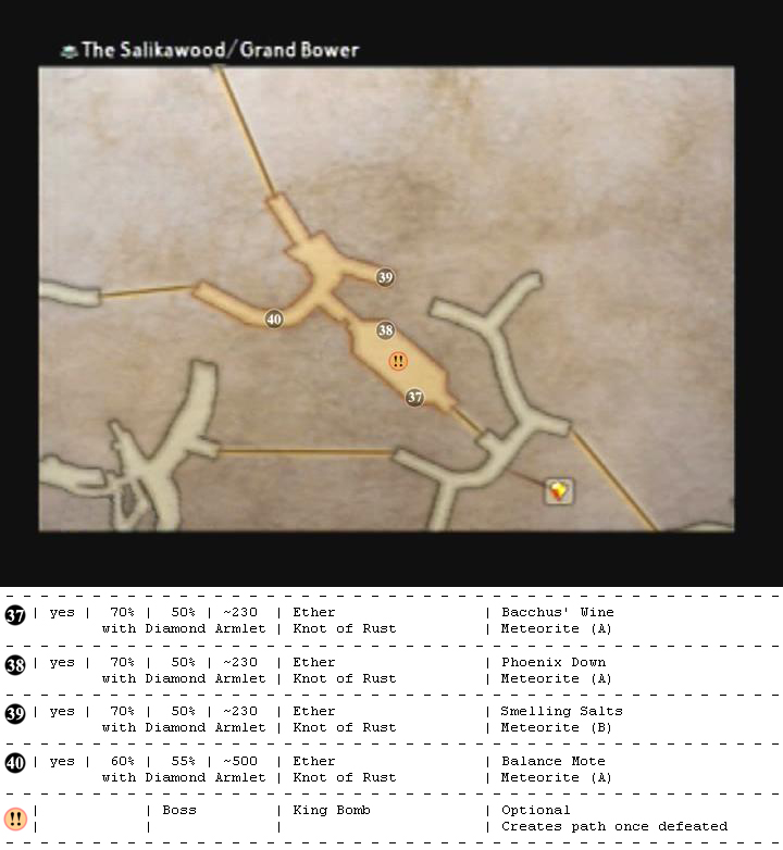 Salikawood map 9