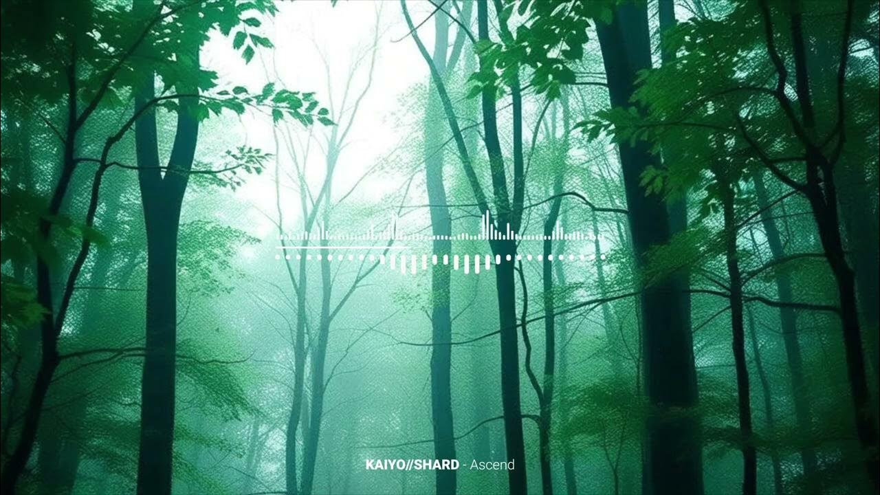 Featured image of post KAIYO//SHARD - Ascend